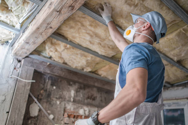 Professional Insulation Contractor in Crystal City, MO