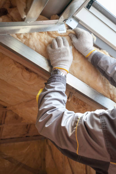 Best Local Insulation Services  in Crystal City, MO