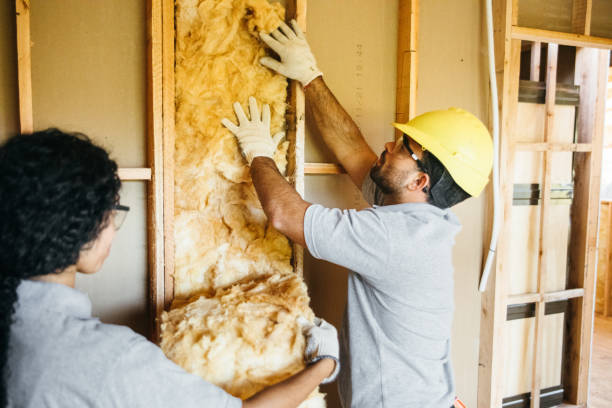 Best Insulation Replacement Services  in Crystal City, MO