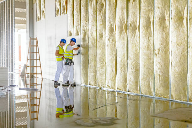 Best Insulation Removal  in Crystal City, MO